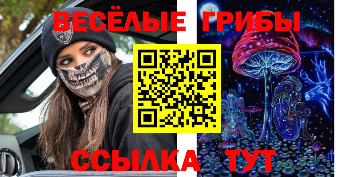 Павлово  Псилоцибиновые грибы мухоморы  продажа наркотиков  Вход с VPN  Псилоцибиновые грибы Cubensis 