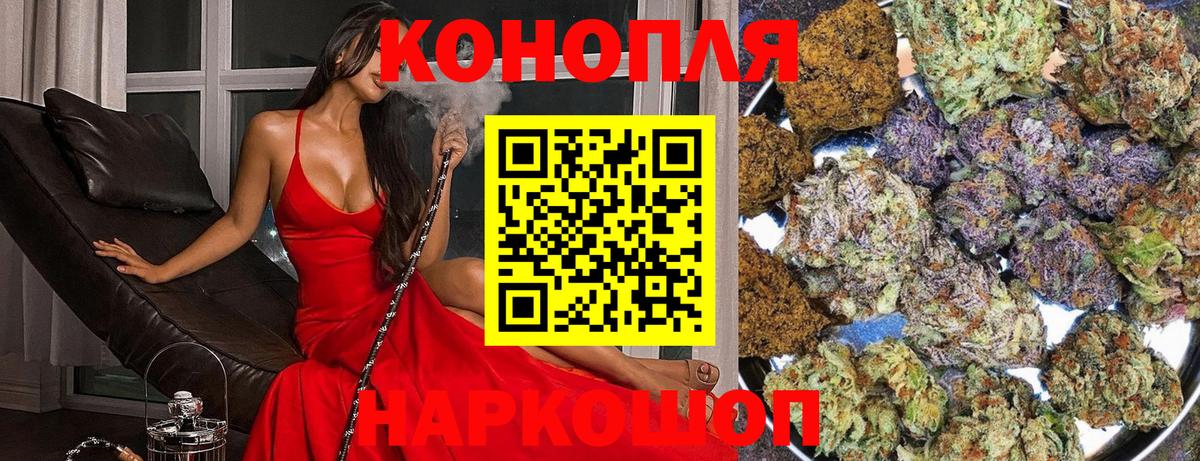 Канабис сатива Павлово